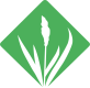 GRASS logo